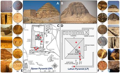 Culturable and unculturable potential heterotrophic microbiological threats to the oldest pyramids of the Memphis necropolis, Egypt